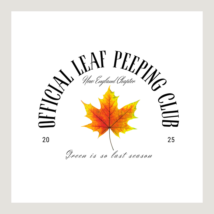 Check In: Autumn 2025