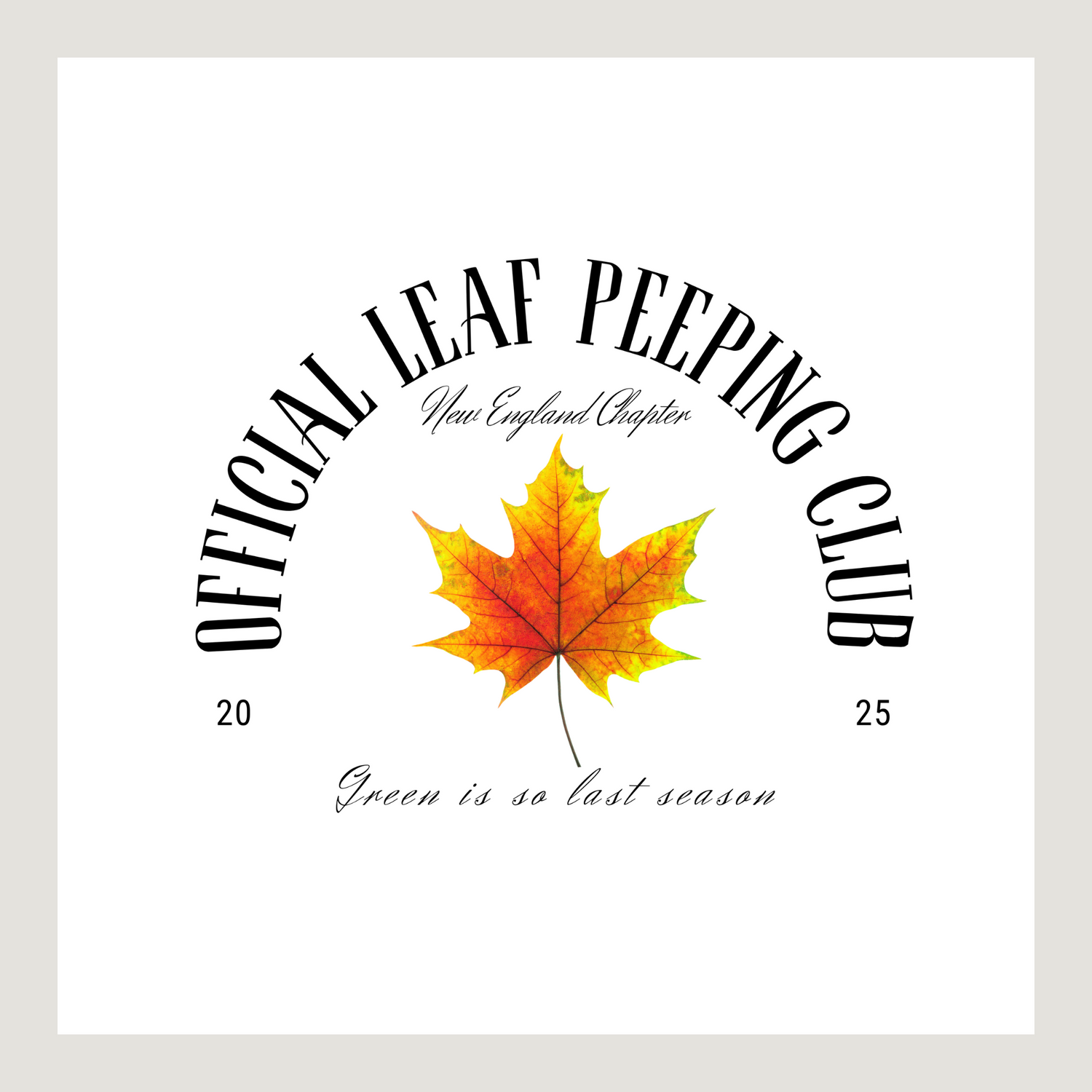 Check In: Autumn 2025
